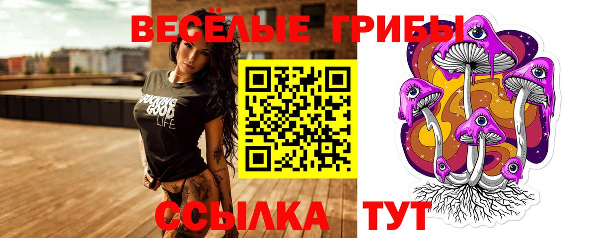 Симферополь  Галлюциногенные грибы мицелий  Вход с VPN 